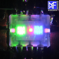 LED chips in transparent package